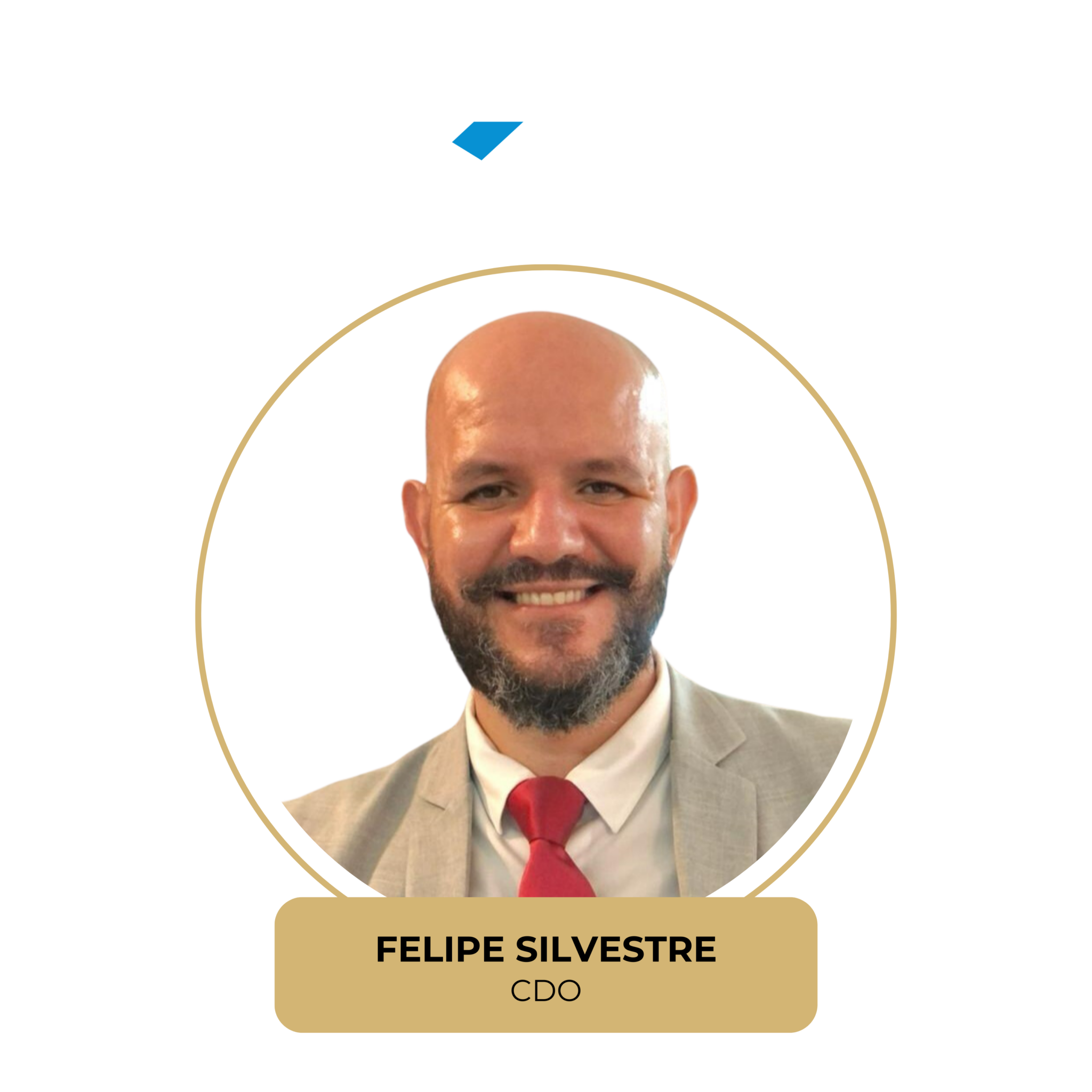 Felipe Silvestre -FGV