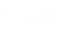 stefanini - logo