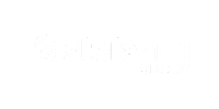 stefanini group